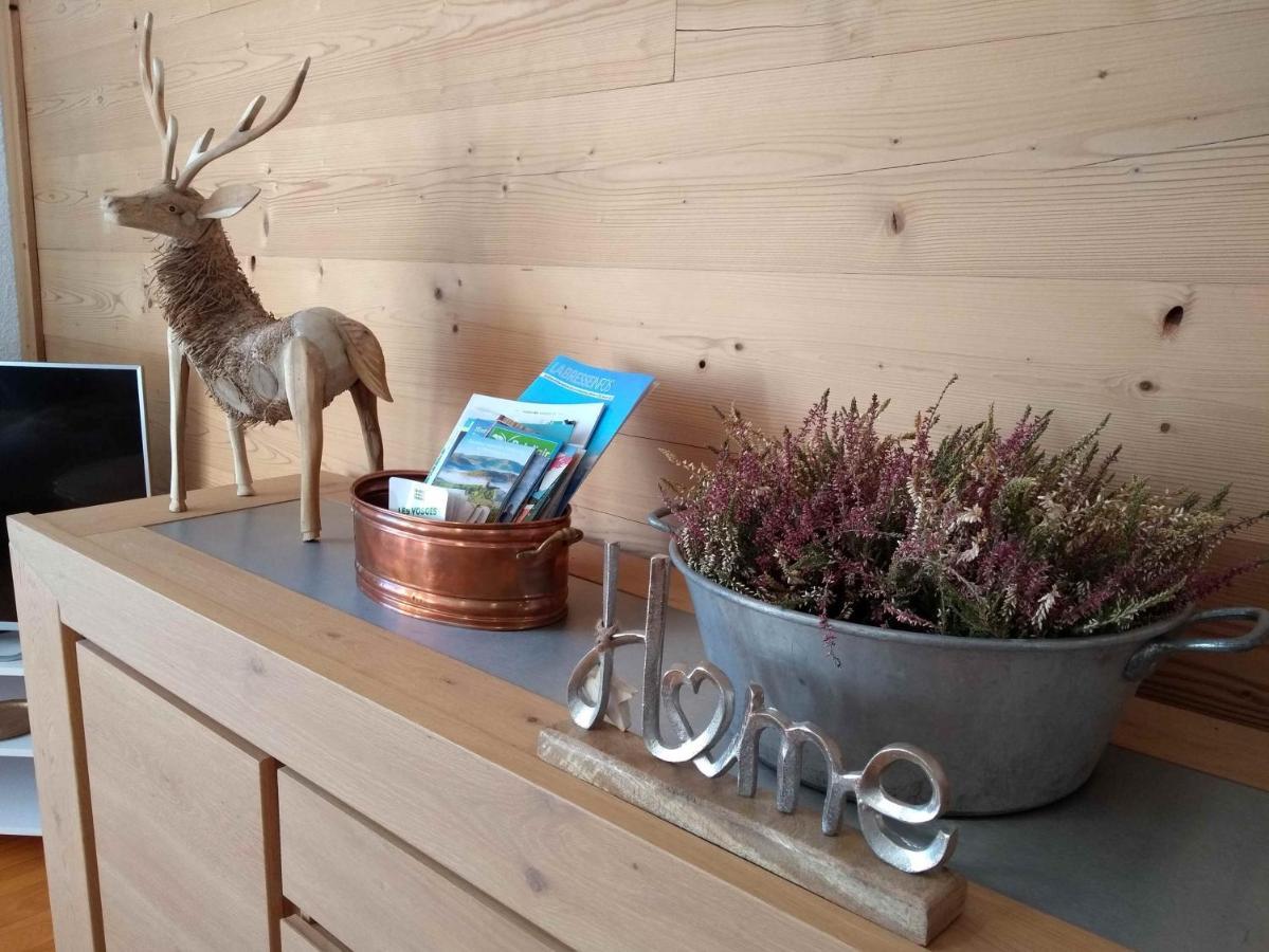 Cosy Appartement La Bresse Centre Ville 외부 사진